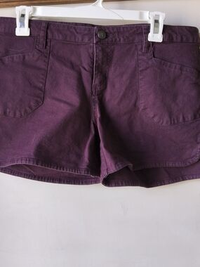 Women’s Purple Casual Cotton Shorts